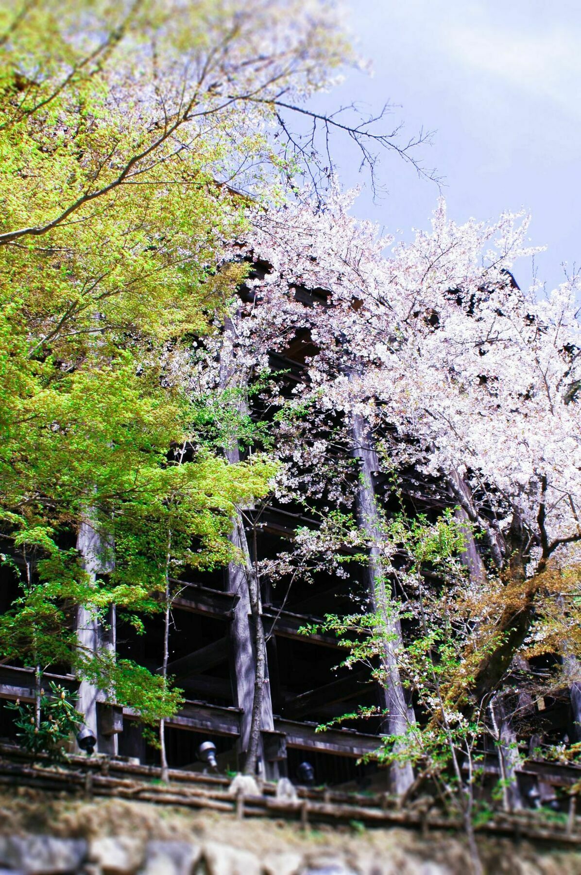 Stay Sakura Kyoto Machiya Akari エクステリア 写真